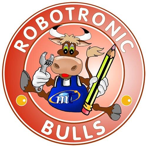 RobotronicBulls Profile Picture