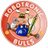 RobotronicBulls's profile image