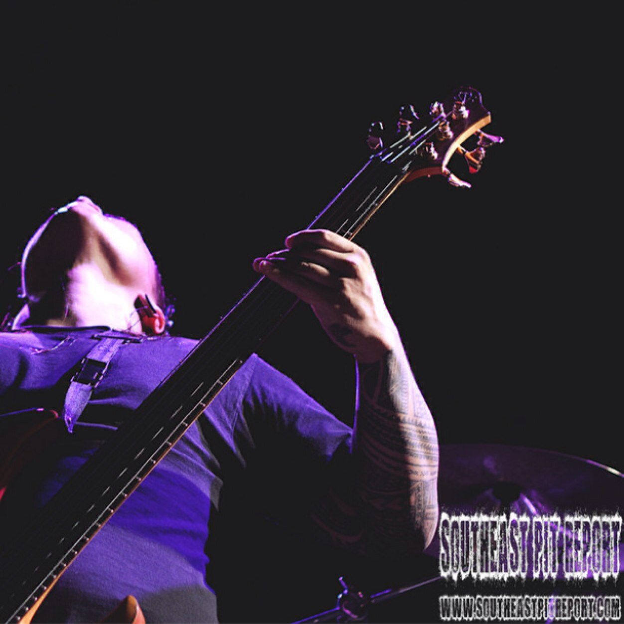 Bass @ Fit For An Autopsy
Hawaii - Vegas
Tour