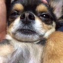 @#차지연#@ (@09cjy16) Twitter