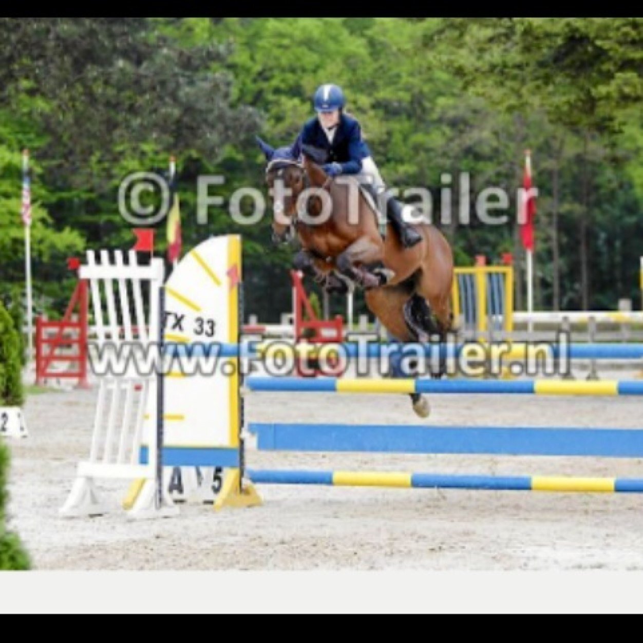 Showjumper ~  hou van mijn babe @xsuzanzomer ~ charity