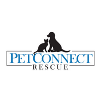 PetConnect Rescue (@petconnectrescu) 's Twitter Profile Photo PetConnect Rescue (@petconnectrescu) 's Twitter Profile Photo
