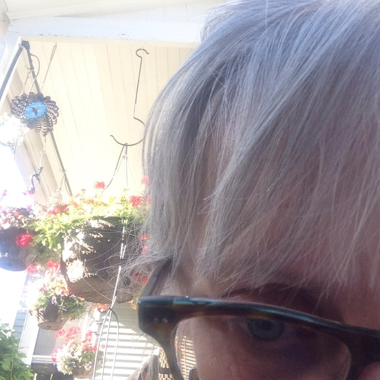 janetbschutt's profile picture. It's me, JB. Help me, Help you.