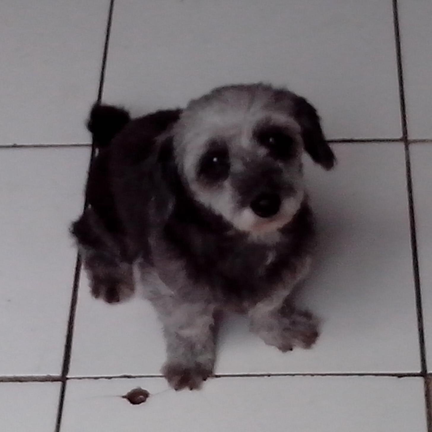 jusuf_william's profile picture. 