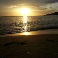 Maria L Berrizbeitia (@whichaberriz) 's Twitter Profile