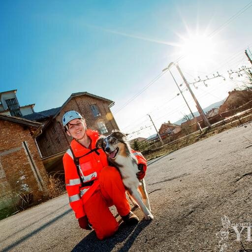 Dog enthusiast, search and rescue dog handler, biologist