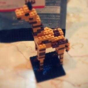 sandy78721's profile picture. 