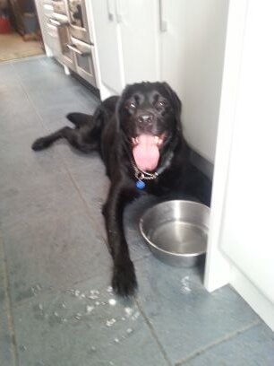 abertaweaddick's profile picture. Life-long Charlton Athletic fan