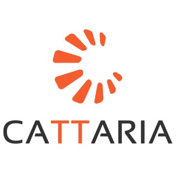 Consultoría, desarrollo de negocio, marketing online, web, gestión de proyectos, formación...