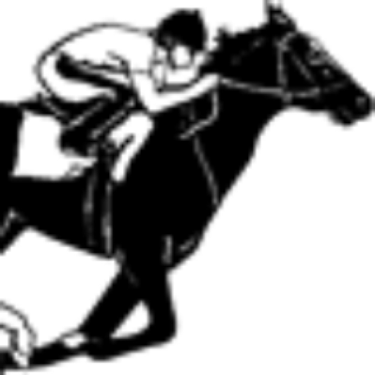 Affiliate of @WinnersEnc - Horse Racing Information Service. Sign up via the website. 8.00am email. Never a losing month