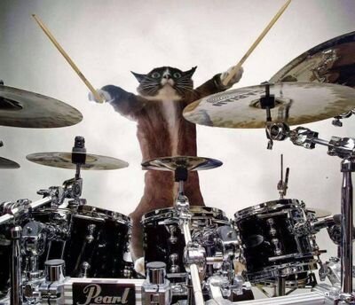 chepoglezdragon's profile picture. 