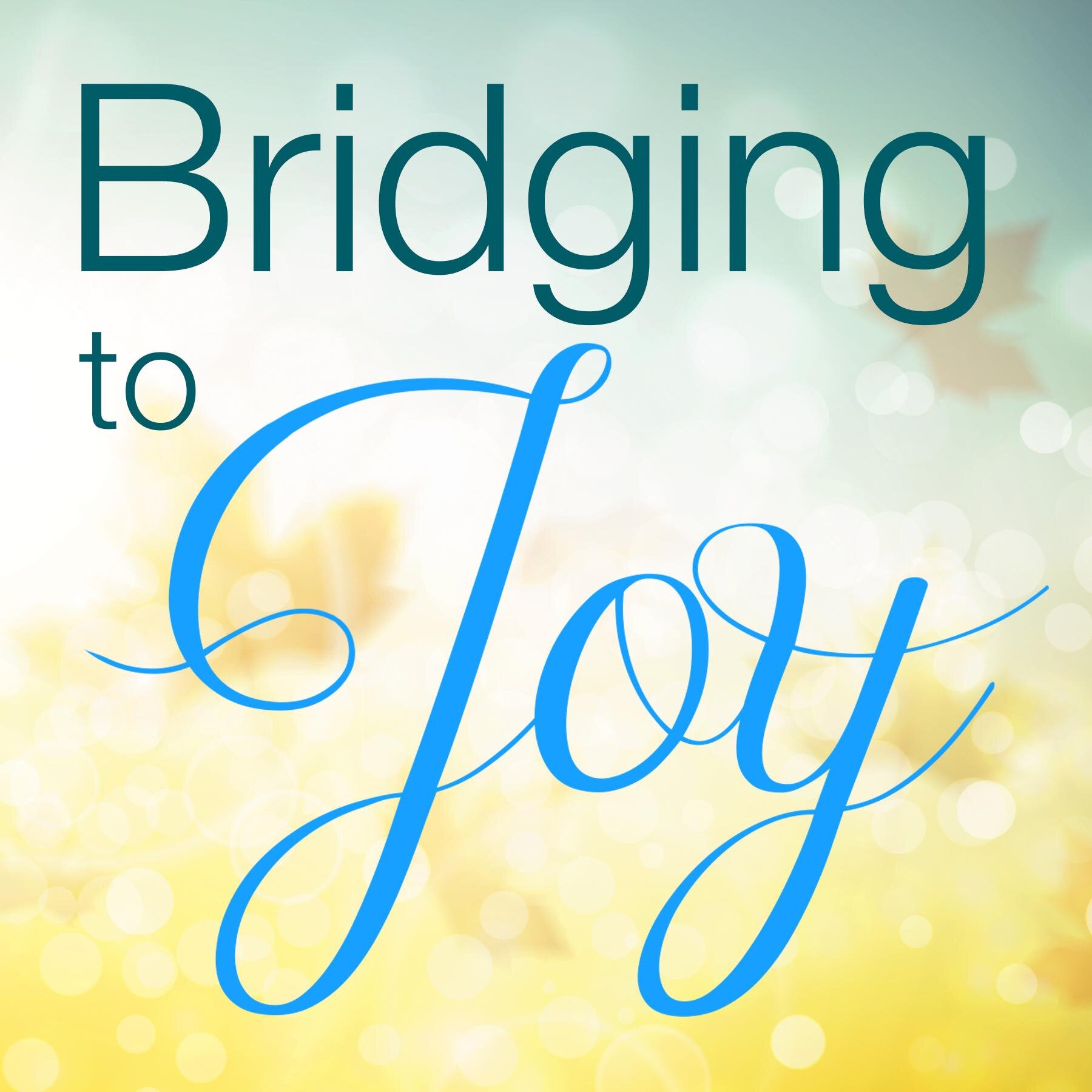 Skilled Life Coach & Consultant and Author of Bridging to Joy: Achieve Your Greatest Path to Success and Fulfillment