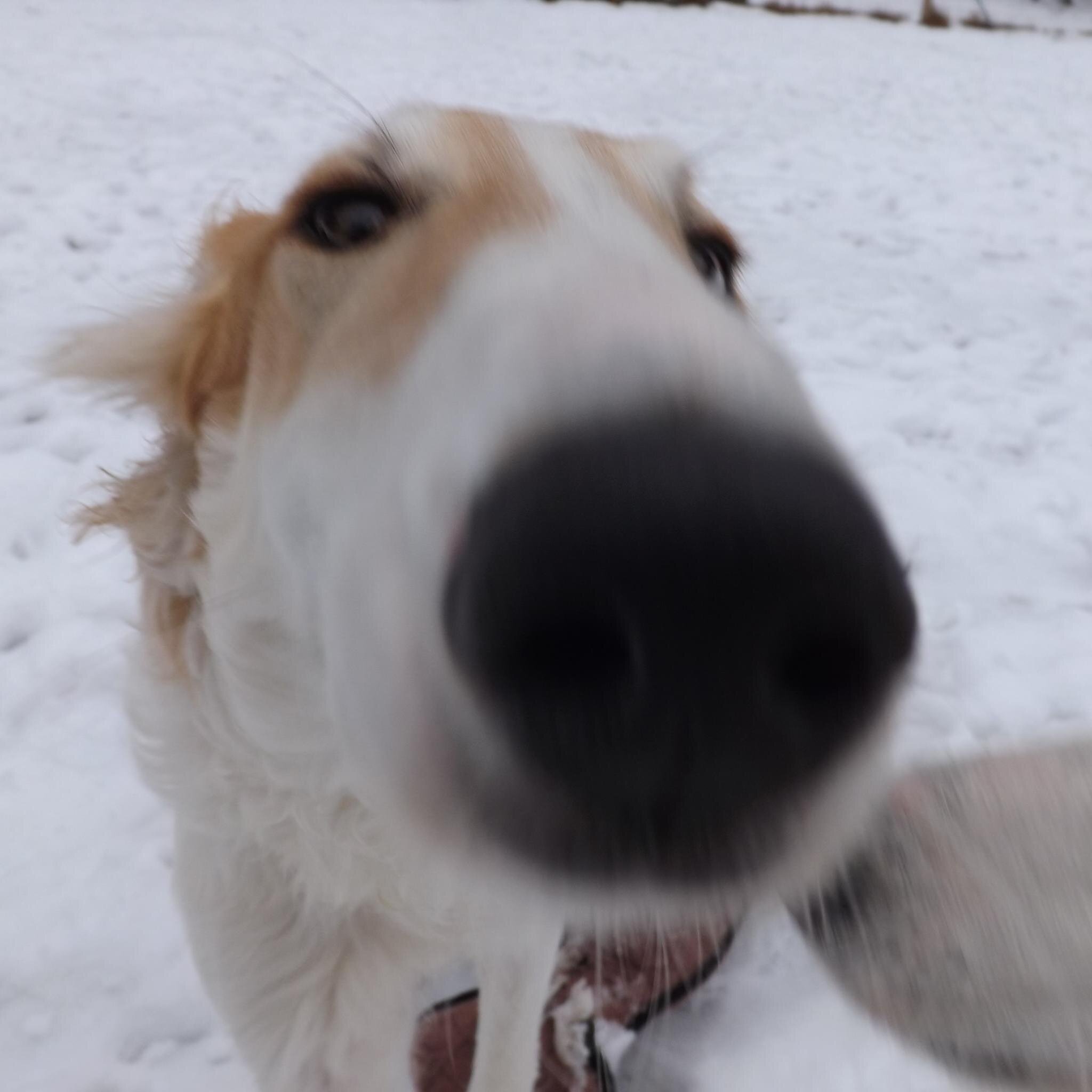 PLCoe's profile picture. 