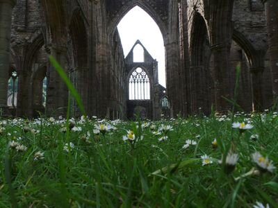 Abaty Tyndyrn / Tintern Abbey Profile