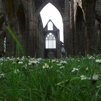Abaty Tyndyrn / Tintern Abbey (@_tintern_abbey_) 's Twitter Profile
