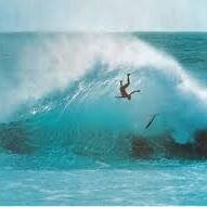 My name is Alec and I really love being outside. I love to hike, camp, bike, and run but I love to surf!