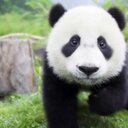 eddie whiting - @eddie_whiting - Twitter