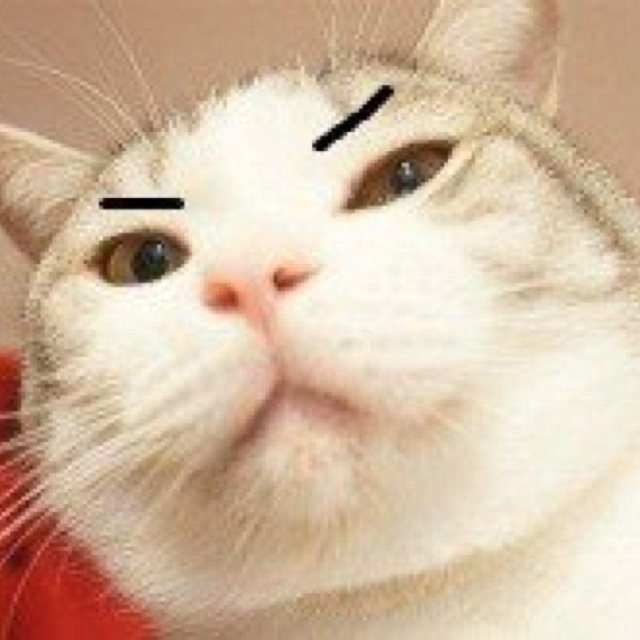 mareni1214's profile picture. Less is more