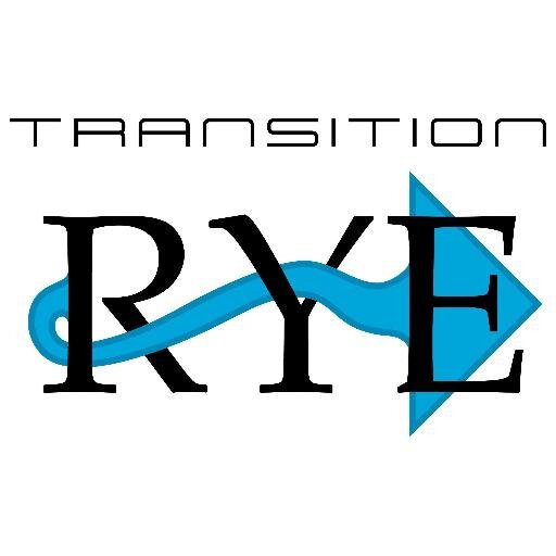 TransitionRye Profile Picture