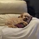 Julia Newby - @x_mizzi_x - Twitter