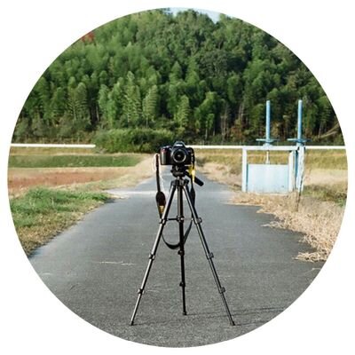 けなのアイコン