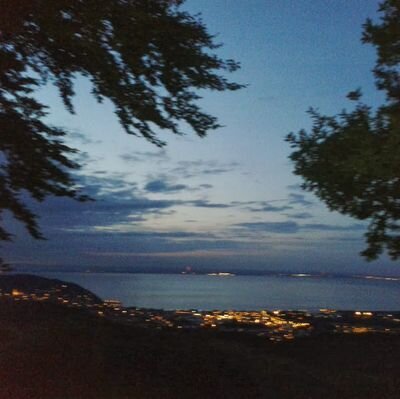 leesmith_jamie's profile picture. 