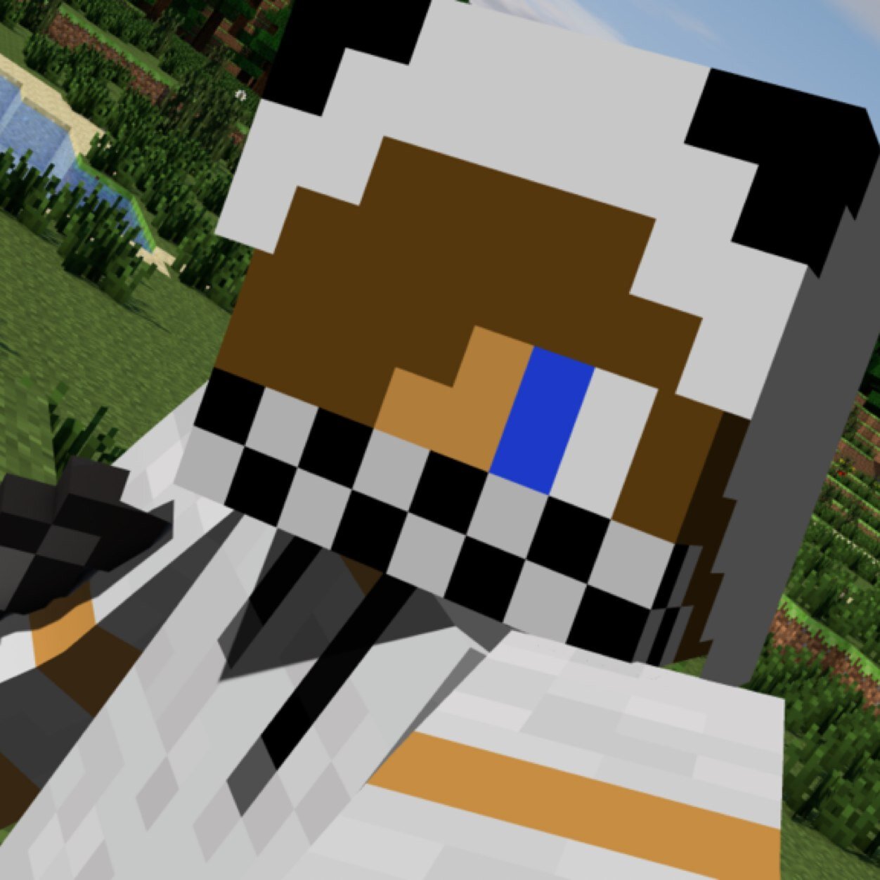 AidanCamposa's profile picture. 