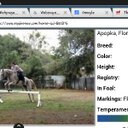 Sarah Lefkowitz - @sarahstar566 - Twitter