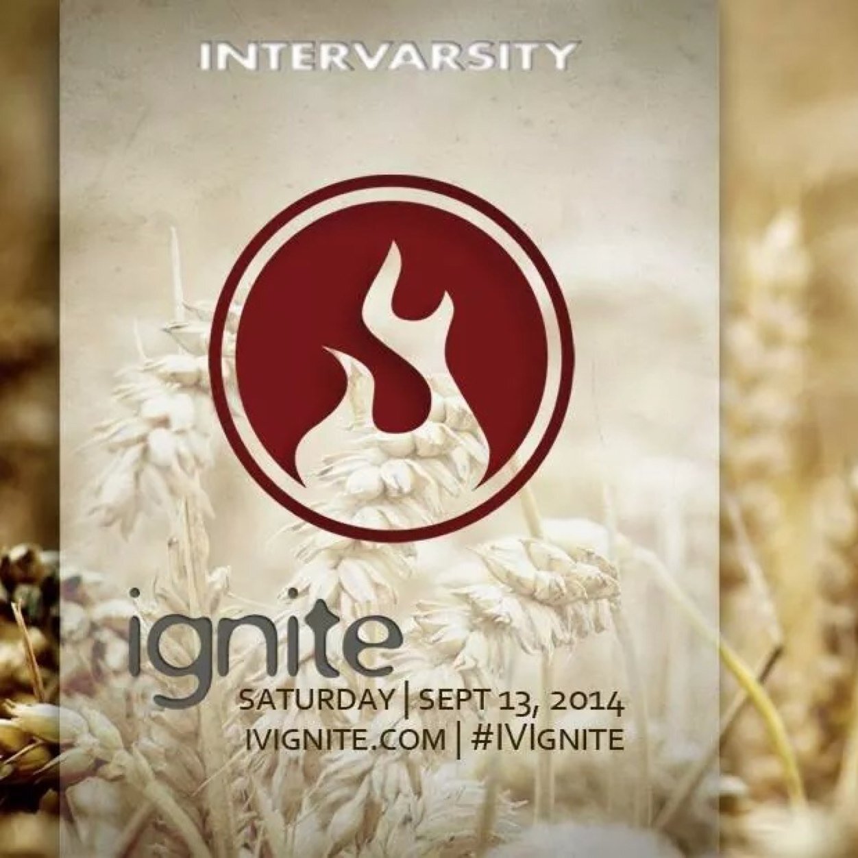 IVSurfandTurf's profile picture. InterVarsity Christian Fellowship | Surf and Turf Division | Southern California Region | Responding to God's love, serving college campuses