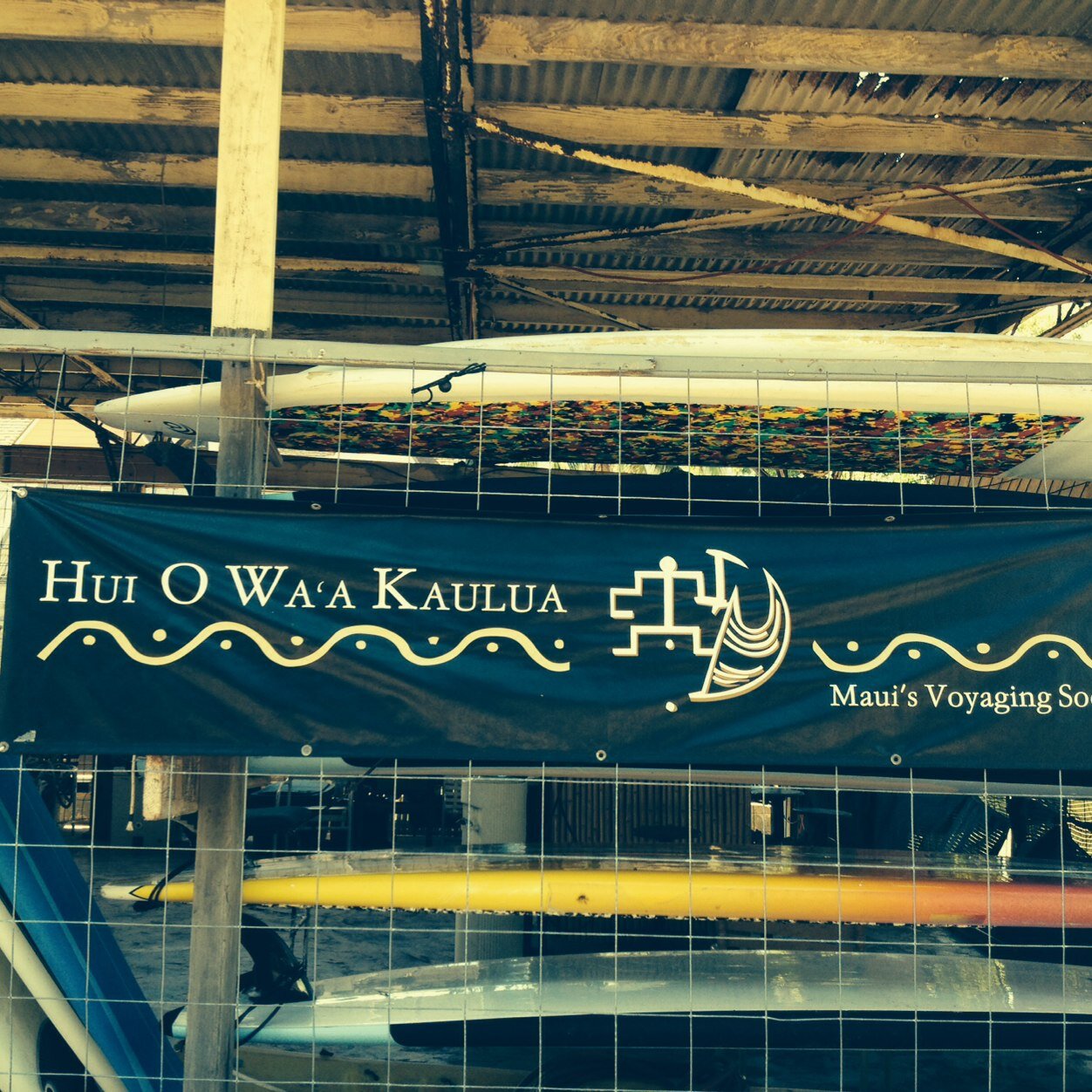 Phil_Maui's profile picture. Person