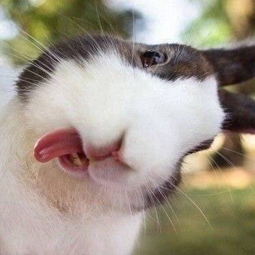 zaebelka's profile picture. Здесь можно найти на любой вкус #юмор #анекдоты #приколы #цитаты #шутки #картинки #фото