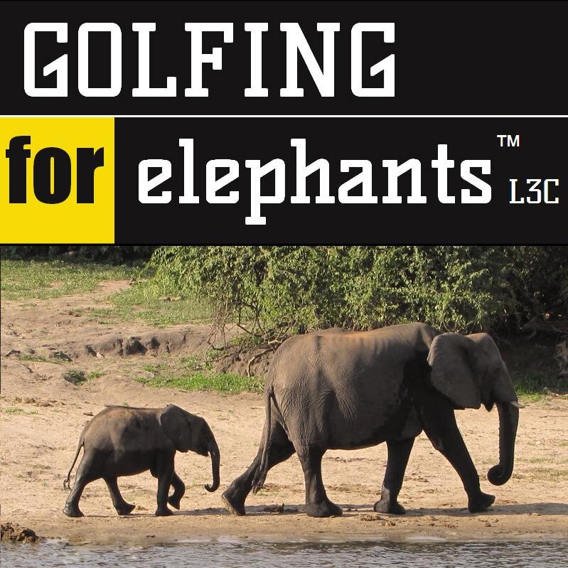 Responsible #golf #tourism #startup promoting #luxury without ivory to #China. 50% of our profits go to saving #elephants from #poaching. #96Elephants partner.