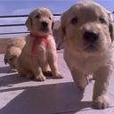 lizet173's profile picture. 