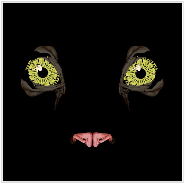 writer, poet , panther, Deillusionist,Artist, blogger,