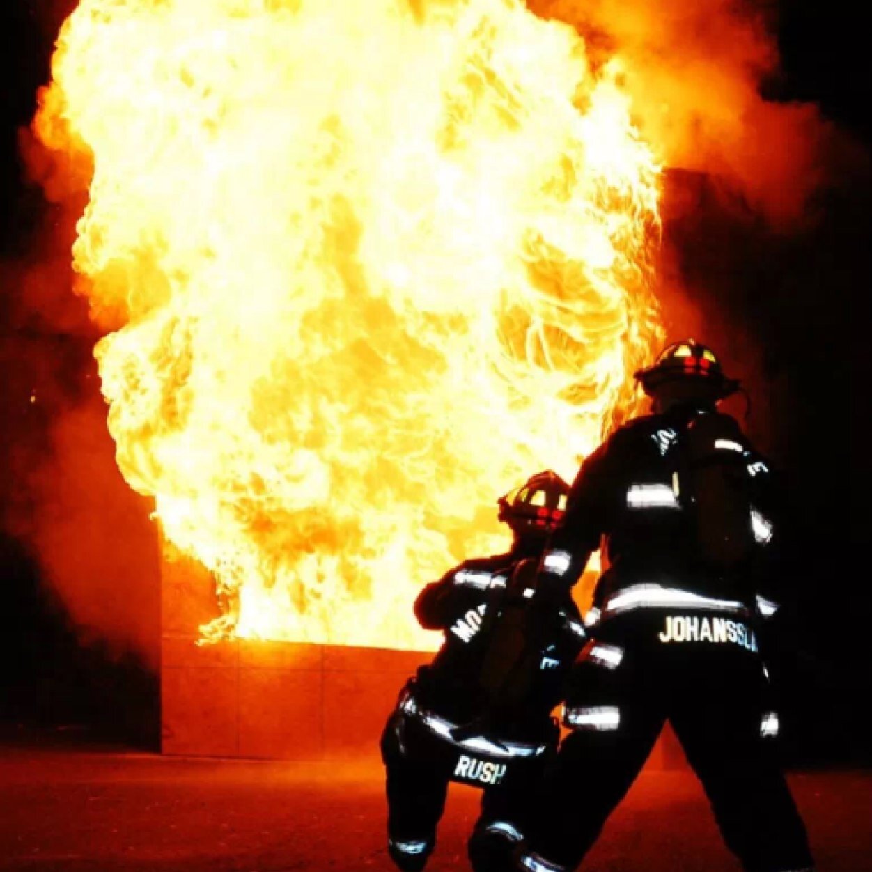 Rushy2798's profile picture. 