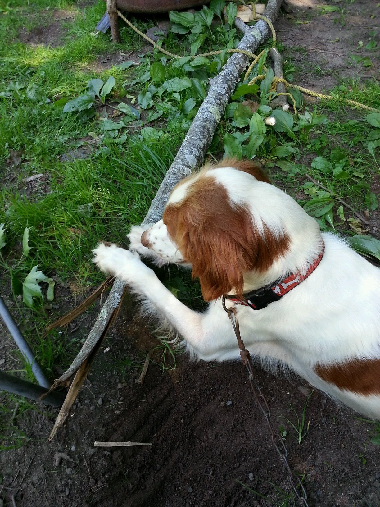 m_freshlybaked's profile picture. 