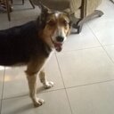 joan caffrey - @Fern_Caffrey - Twitter