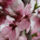 Susie Wall Photography - @SusieM60 - Twitter