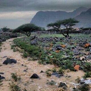 ALDERYe's profile picture. 