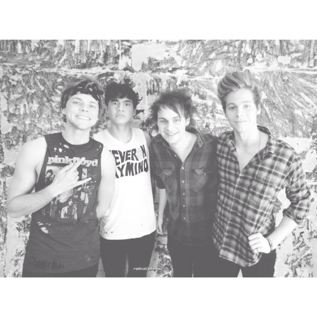 free follow from @eastcoastcalum follow there instead of here xx