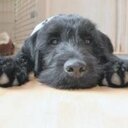 Marlene Clarke - @marleybear01 - Twitter