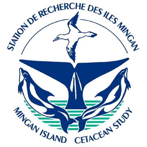 Non-profit research organization focusing on baleen whales since 1979 // OBNL de recherche sur les cétacés à fanons depuis 1979.