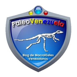 Información de macrofósiles Venezolanos. Visita también: https://t.co/xGySNN8nq7