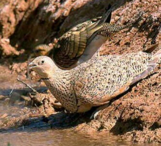 119Abood119's profile picture. 