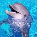 ltsFrost Profile Picture
