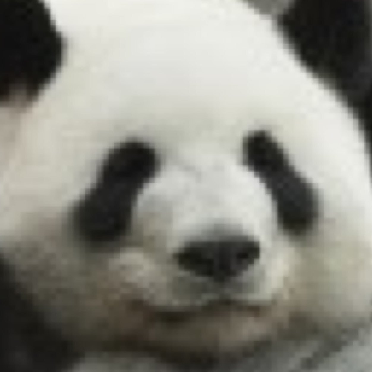 Im a panda hug me