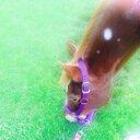 Lindsay Briggs - @LindsayandMaxi - Twitter