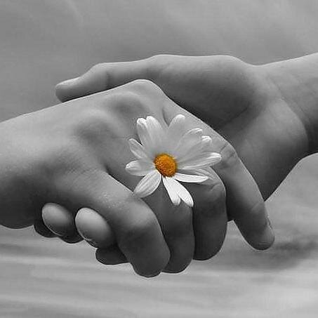 niki_irin's profile picture. Донбасс непокоренный!!!
Родилась в Новосибирске. Живу в Донецке. Люблю Россию.