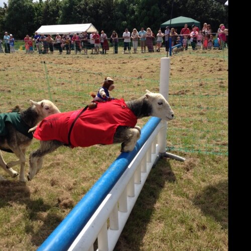 FreckleFud's profile picture. 30 odd y/o avid gamer, owned by 2 children and a cat. #carer. Tendency to swear. no likey no follow. 
BBM 7c002307