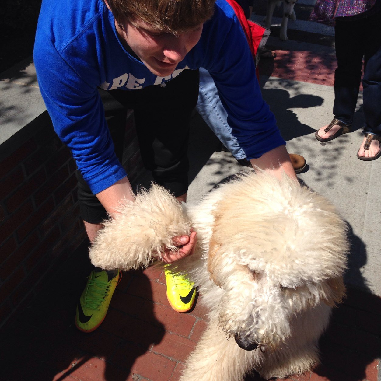 lang_sergei's profile picture. 